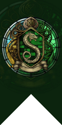 Bandeira da Sonserina